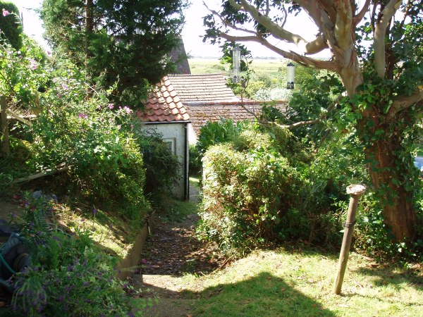 Back garden looking down steps to Summerhouse